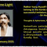 DIVINE-LIGHT-04-JANUARY-2020