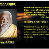 DIVINE-LIGHT-06-MARCH-2020