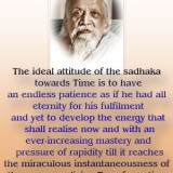 Golden-Drop-of-Light-295