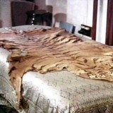 23-Darshan-of-Sri-Aurobindo-and-The-Mother-Room