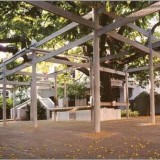 32-Samadhi--Sri-Aurobindo-Ashram