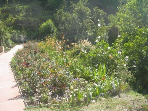 12 Sri Aurobindo Ashram Madhuban