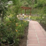 17_Sri-Aurobindo-Ashram-Madhuban