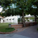 Sri-Aurobindo-Ashram-School-9