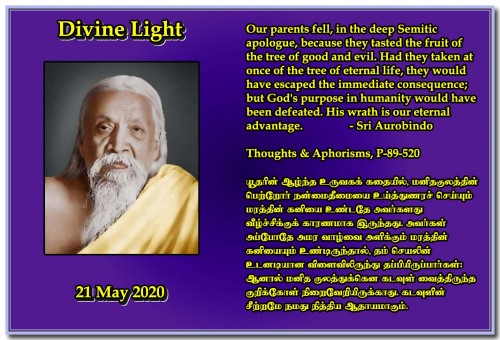 DIVINE-LIGHT-21-MAY-2020.jpg
