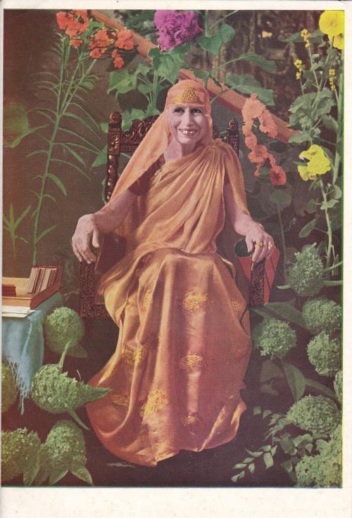 The Mother श्रीमाँ (41)