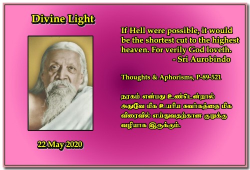 DIVINE-LIGHT-22-MAY-2020.jpg