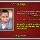DIVINE-LIGHT-21-AUGUST-2020