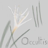 Divine-Flowers-against-Missiles-192