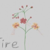 Divine-Flowers-against-Missiles-255