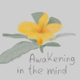 Divine-Flowers-against-Missiles-657