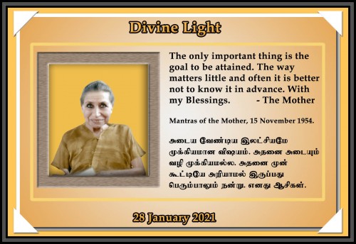 DIVINE-LIGHT-28-JANUARY-2021.jpg