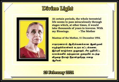 DIVINE-LIGHT-23-FEBRUARY-2021.jpg