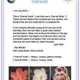 E7C43DBB-BD5E-4DDA-ACD3-2B287BC5DDE2