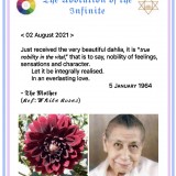 CA2E77F3-FDB5-4C0B-8B3F-A5C08FDB5E30